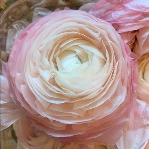 Meet your Posher, Kyungmin